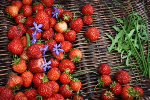 strawberries, borage flowers, rocket and chives