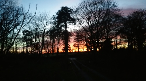 Winter sunset at Oldfarm