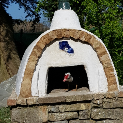 clay/pizza oven